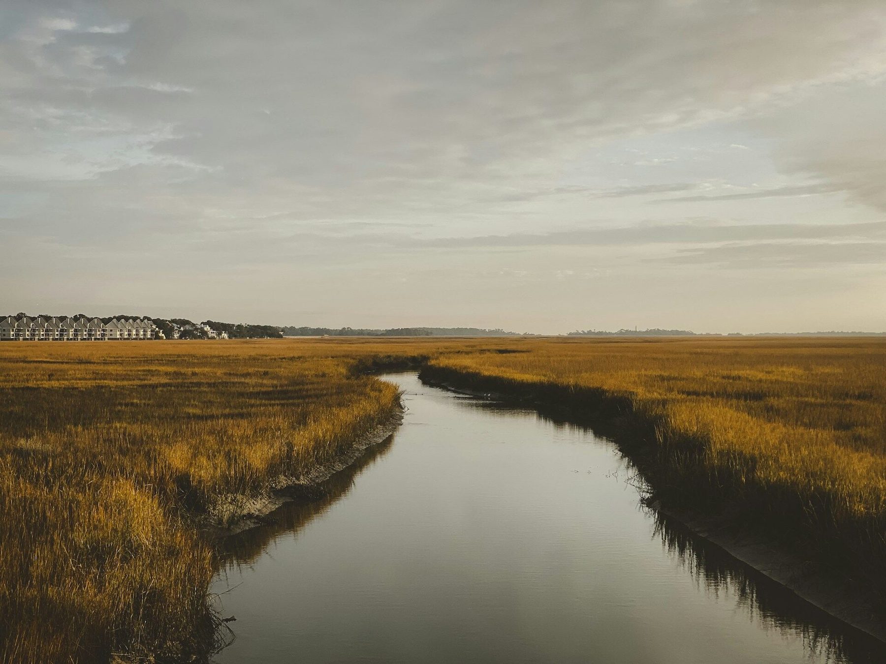 A Lowcountry tidal creek through spartina marsh at golden hour