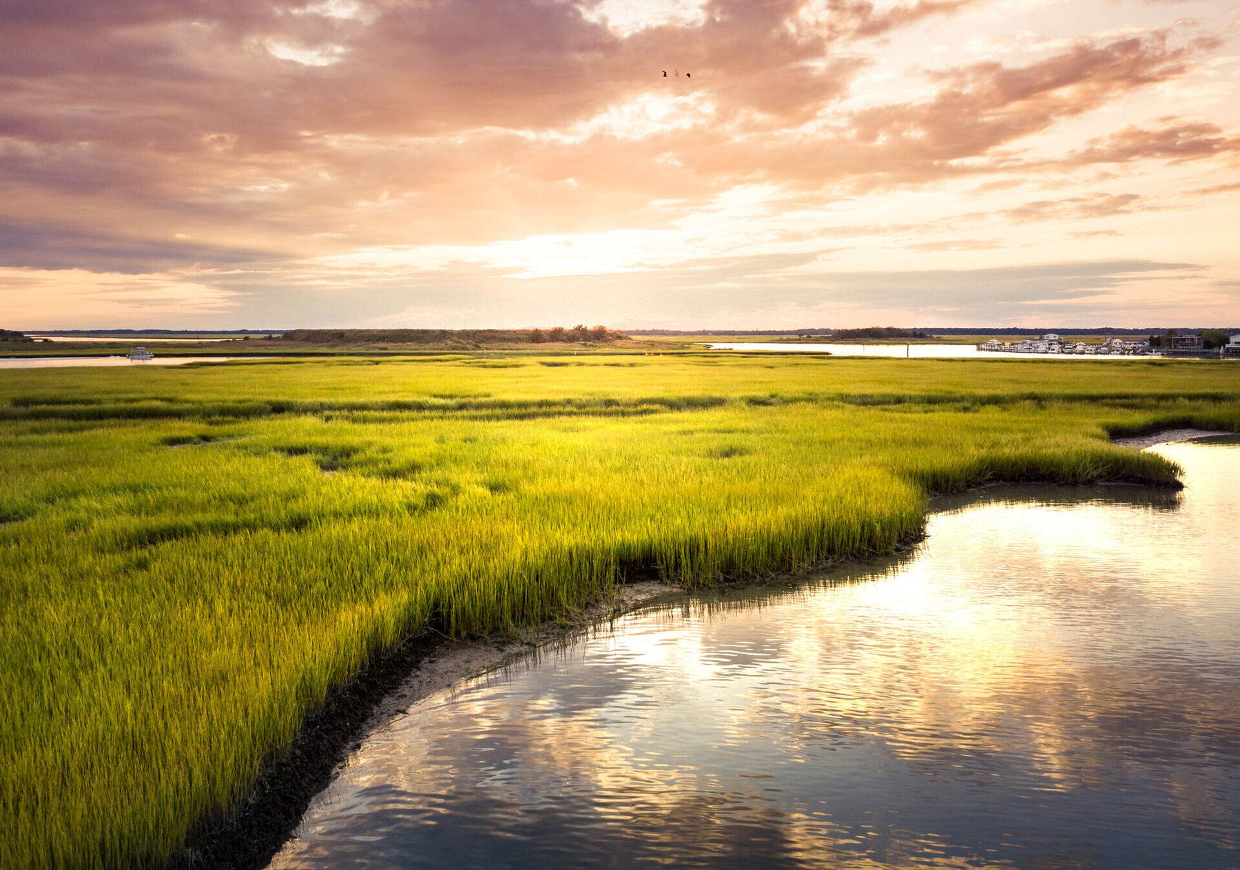 Spartina marsh and a tidal creek at golden hour on the sea islands
